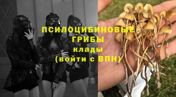 сатива Баксан
