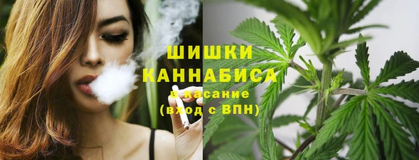 СК Балахна