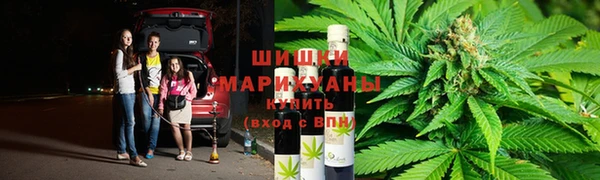 сатива Баксан